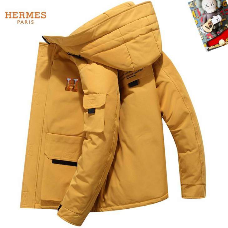Picture of Hermes Down Jackets _SKUHermesM-3XL25tx0437690